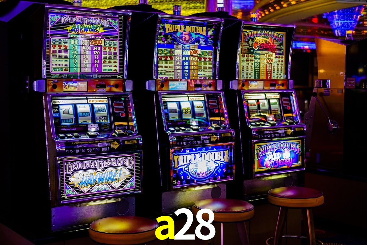 Programa VIP a28